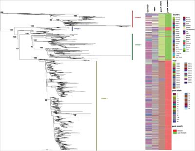 Emergence and evolution of mosaic penA-60 and penA-237 alleles in a Neisseria gonorrhoeae core genogroup that was historically susceptible to extended spectrum cephalosporins